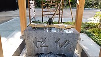 IMG_20231108_120911_455