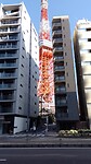 IMG_20231108_114913_916
