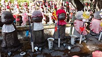 IMG_20231108_101457_806