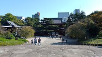 IMG_20231108_101025_312
