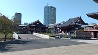 IMG_20231108_101019_054