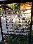 IMG_20231108_121149_221