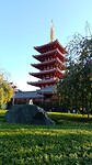 IMG_20231109_145233_718