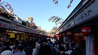 IMG_20231109_140149_667
