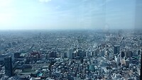 IMG_20231109_115200_559