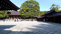 IMG_20231109_095306_857