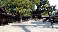 IMG_20231109_093940_913