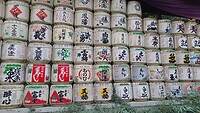 IMG_20231109_092031_536