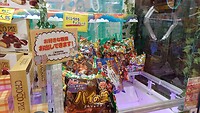 IMG_20231110_123411_711