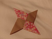 IMG_20231110_204529_751