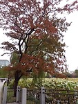 IMG_20231111_114802_315