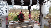 IMG_20231111_111250_903