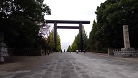 IMG_20231112_131447_451