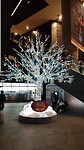IMG_20231112_111618_668