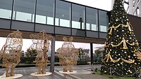 IMG_20231112_093828_797