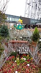 IMG_20231112_093701_083