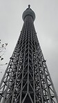 IMG_20231112_093655_187
