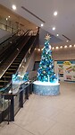 IMG_20231112_092652_206