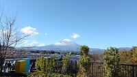 IMG_20231114_123243_209