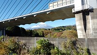 IMG_20231114_114311_014