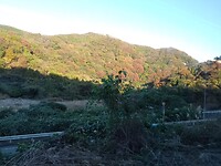 IMG_20231114_153313_661