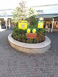 IMG_20231114_141928_715