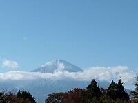 IMG_20231114_140752_710
