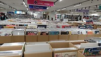 IMG_20231115_143331_816