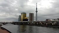 IMG_20231115_115342_078