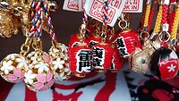 IMG_20231115_103332_975