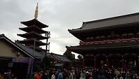 IMG_20231115_100847_416