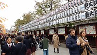 IMG_20231115_100731_622