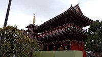 IMG_20231115_100448_674