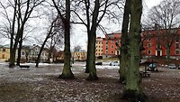 IMG_20240216_120709_886