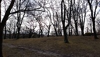 IMG_20240217_110621_885