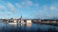 IMG_20240217_100026_9