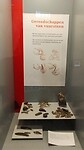IMG_20240831_153704493