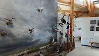 IMG_20240831_153621387