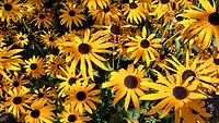 IMG_20240831_131506645_HDR