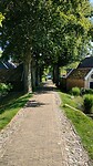 IMG_20240831_131353599_HDR