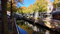 IMG_20241007_121621710_HDR