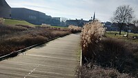 IMG_20250209_120446226_HDR