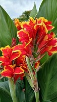 IMG_20250823_132259251_HDR