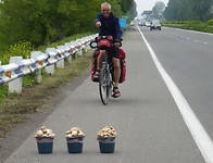 5 juni - of we een paddenstoel willen kopen
