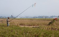 22 juli - het verhaal van de ganzenhoeder - 1
