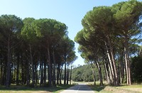 29-9, op weg naar Girona