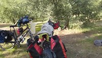 20-10, kamperen tussen de olijfbomen