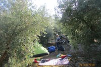 24-10, na een hele dag fietsen tussen de olijfbomen gaan we ook kamperen in een olijfboomgaard