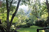 Tuin Sabie Star