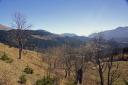 Hike